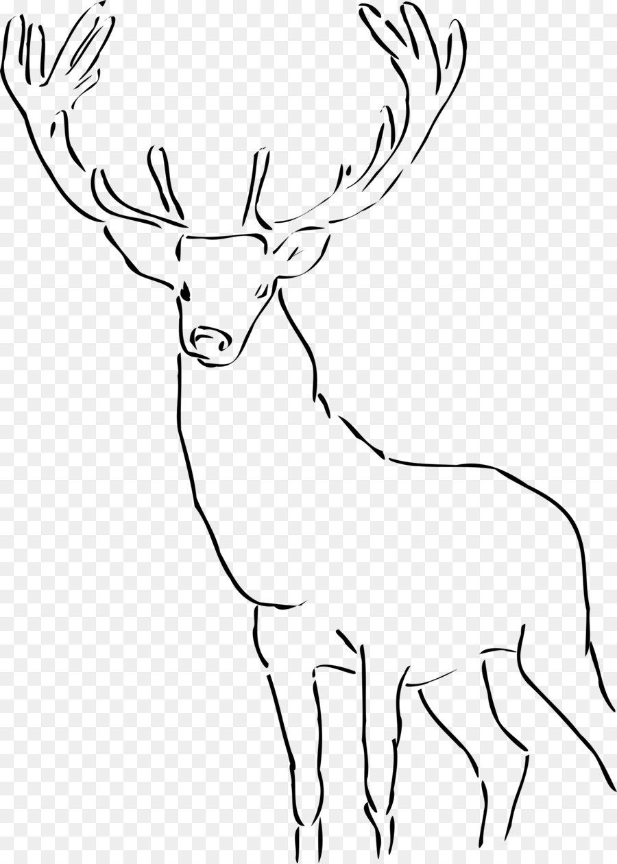 Red deer Pronghorn Antelope Moose - deer png download - 1716*2400 - Free Transparent Deer png Download.