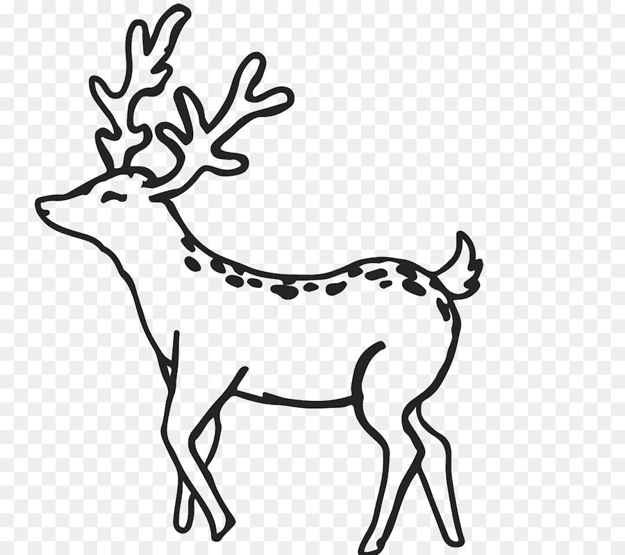 Reindeer Antler White-tailed deer Clip art - Reindeer png download - 800*800 - Free Transparent Reindeer png Download.