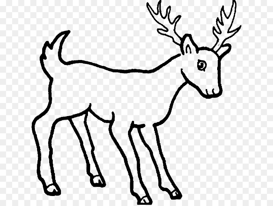 Deer Drawing Image Sketch Cartoon - deer png download - 700*676 - Free Transparent Deer png Download.