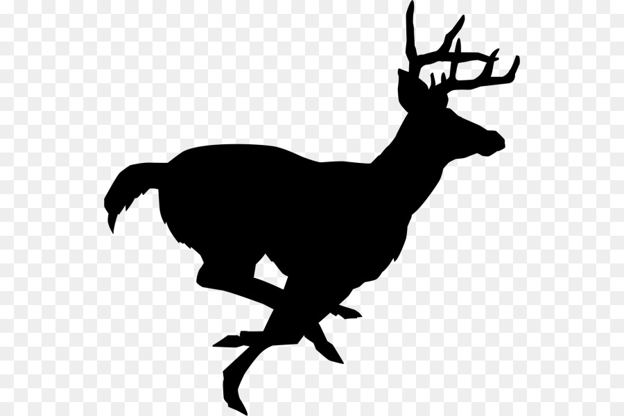 White-tailed deer Stencil Reindeer Clip art - deer png download - 600*600 - Free Transparent Deer png Download.