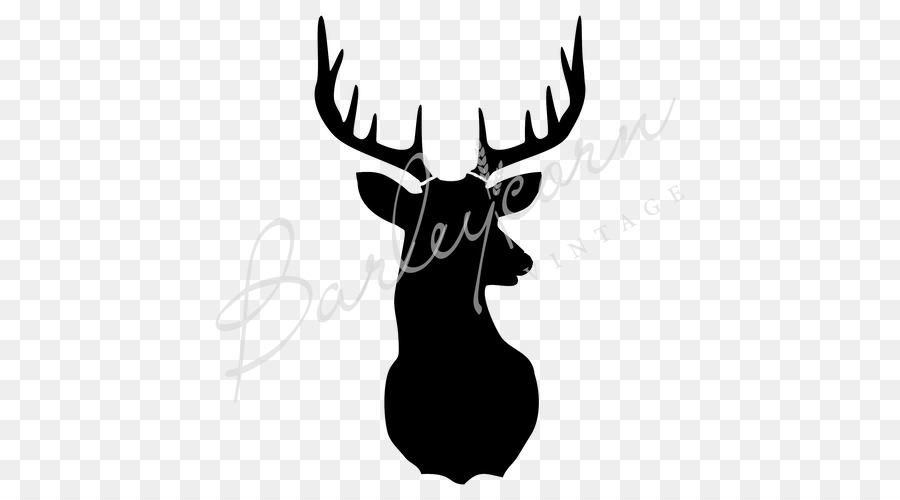 Deer Silhouette Moose Stencil Photography - deer png download - 500*500 - Free Transparent Deer png Download.