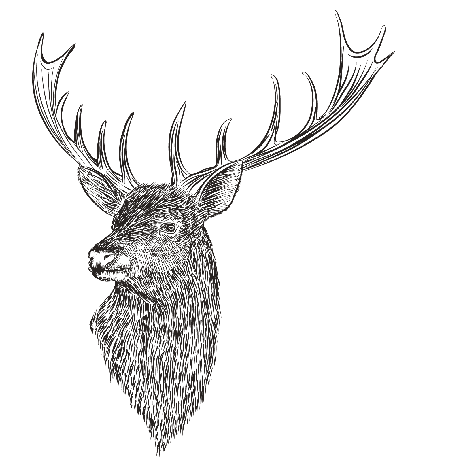 Featured image of post Reindeer Head Draw / Would you like to draw your own reindeer?