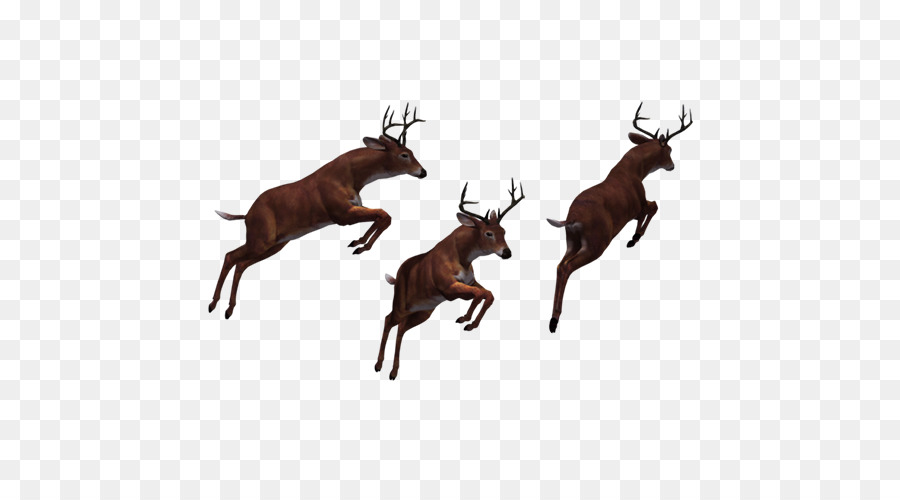 Reindeer Elk - Jumping deer png download - 500*500 - Free Transparent Reindeer png Download.