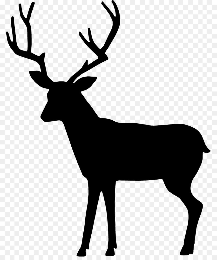 Deer Drawing - deer illustration png download - 850*1066 - Free Transparent Deer png Download.
