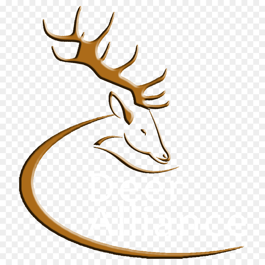 Deer Antler Wildlife Elk Clip art - deer horn png download - 800*900 - Free Transparent Deer png Download.