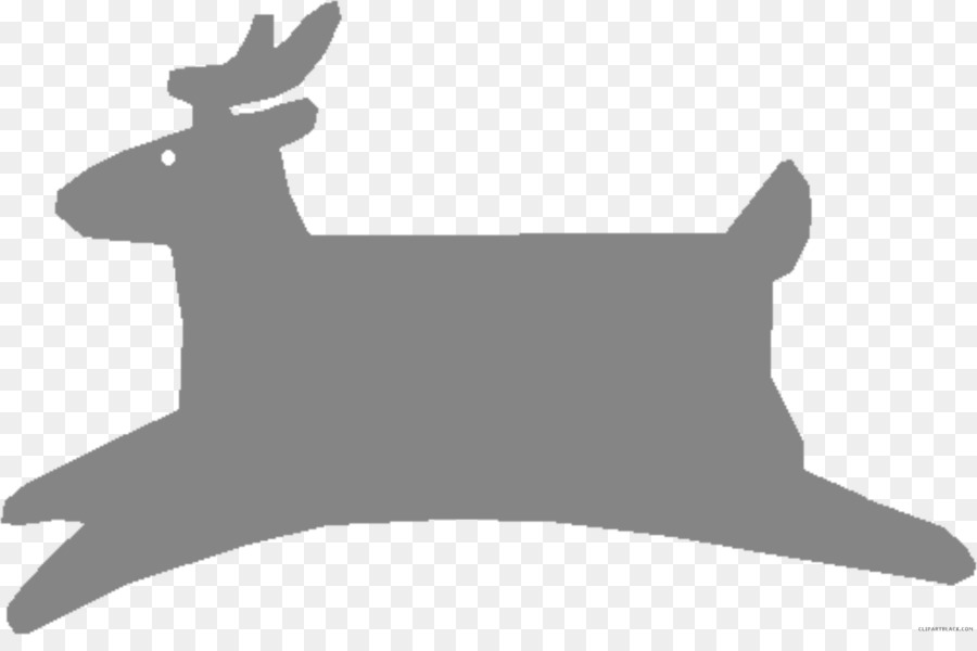Reindeer White-tailed deer Moose Red deer - reindeer png download - 2231*1449 - Free Transparent Reindeer png Download.