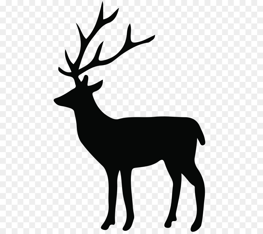 White-tailed deer Reindeer Clip art Portable Network Graphics - deer png download - 548*800 - Free Transparent Deer png Download.