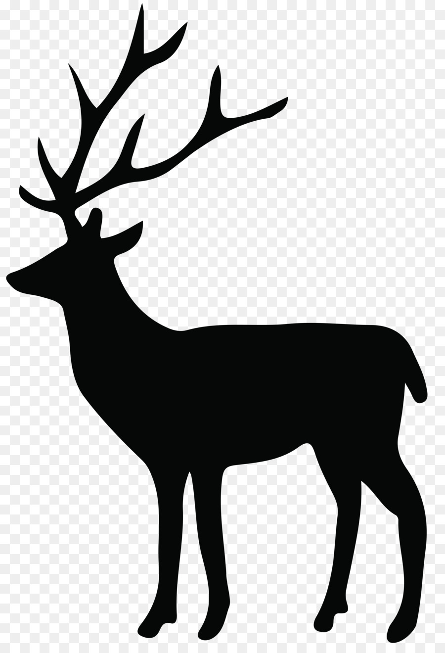 White-tailed deer Reindeer Whitetail Images: Up Close and Personal Clip art - deer png download - 5487*8000 - Free Transparent Deer png Download.