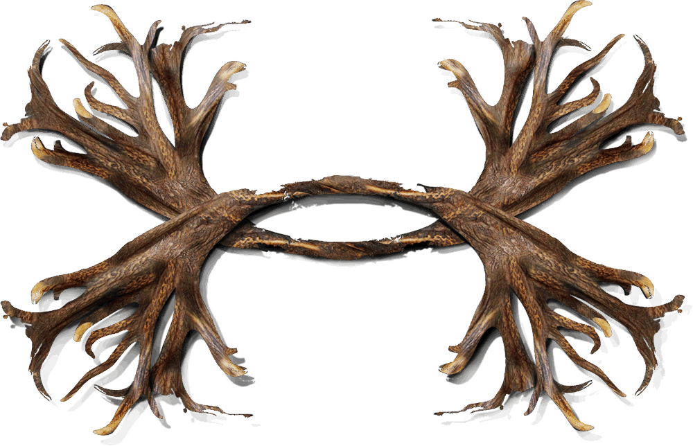 under armour deer antler logo
