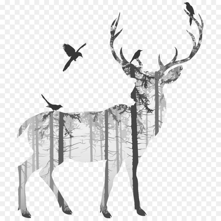 Deer Silhouette Drawing Photography - deer png download - 1200*1200 - Free Transparent Deer png Download.