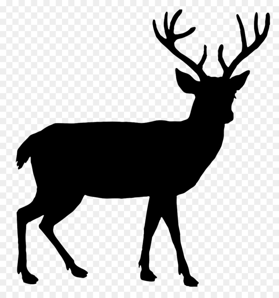 White-tailed deer Reindeer Red deer Elk - Reindeer Silhouette Cliparts png download - 1004*1049 - Free Transparent Deer png Download.