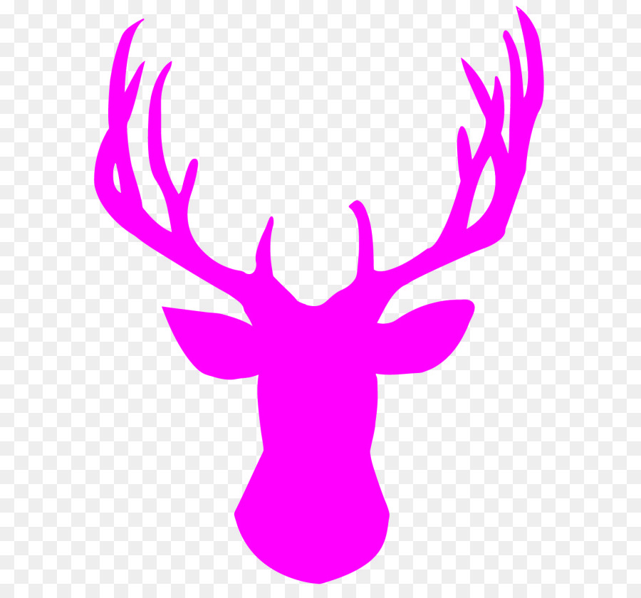 White-tailed deer Stencil Reindeer Red deer - deer png download - 830*830 - Free Transparent Deer png Download.
