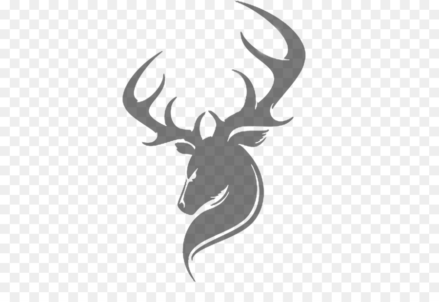 Reindeer Moose - white deer png download - 1532*1044 - Free Transparent Deer png Download.