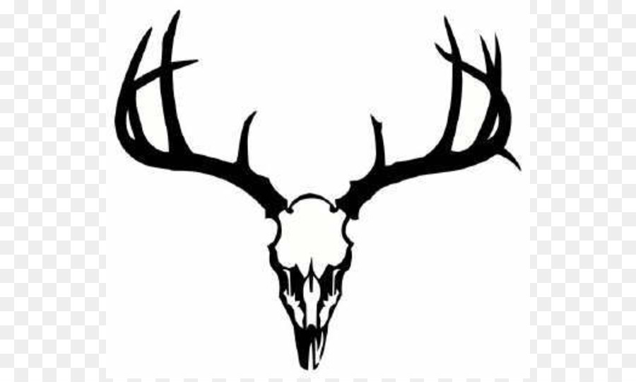 Clip Arts Related To : White-tailed deer Tattoo Skull Antler - Creative bla...