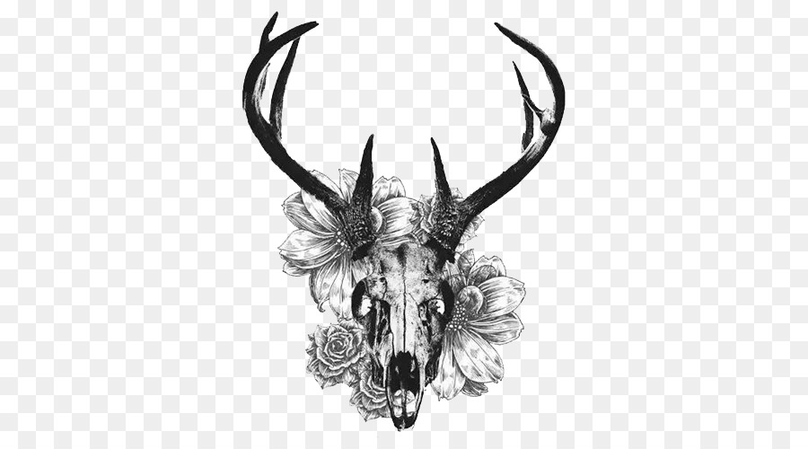 White-tailed deer Tattoo Skull Antler - Creative black and white deer skull png download - 500*500 - Free Transparent Deer png Download.