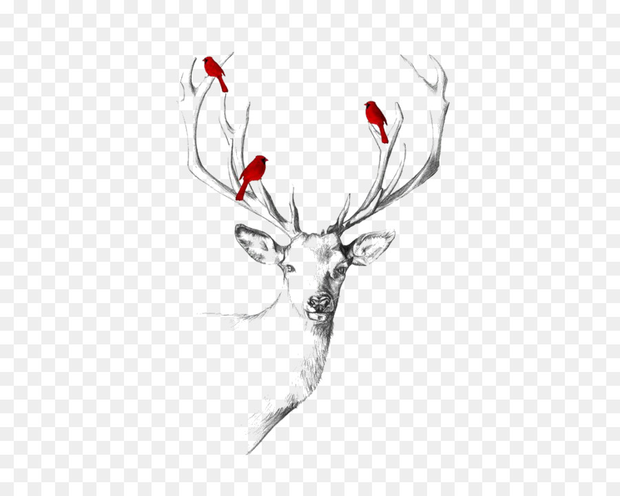 Deer Abziehtattoo Drawing Elk - deer png download - 500*716 - Free Transparent Deer png Download.