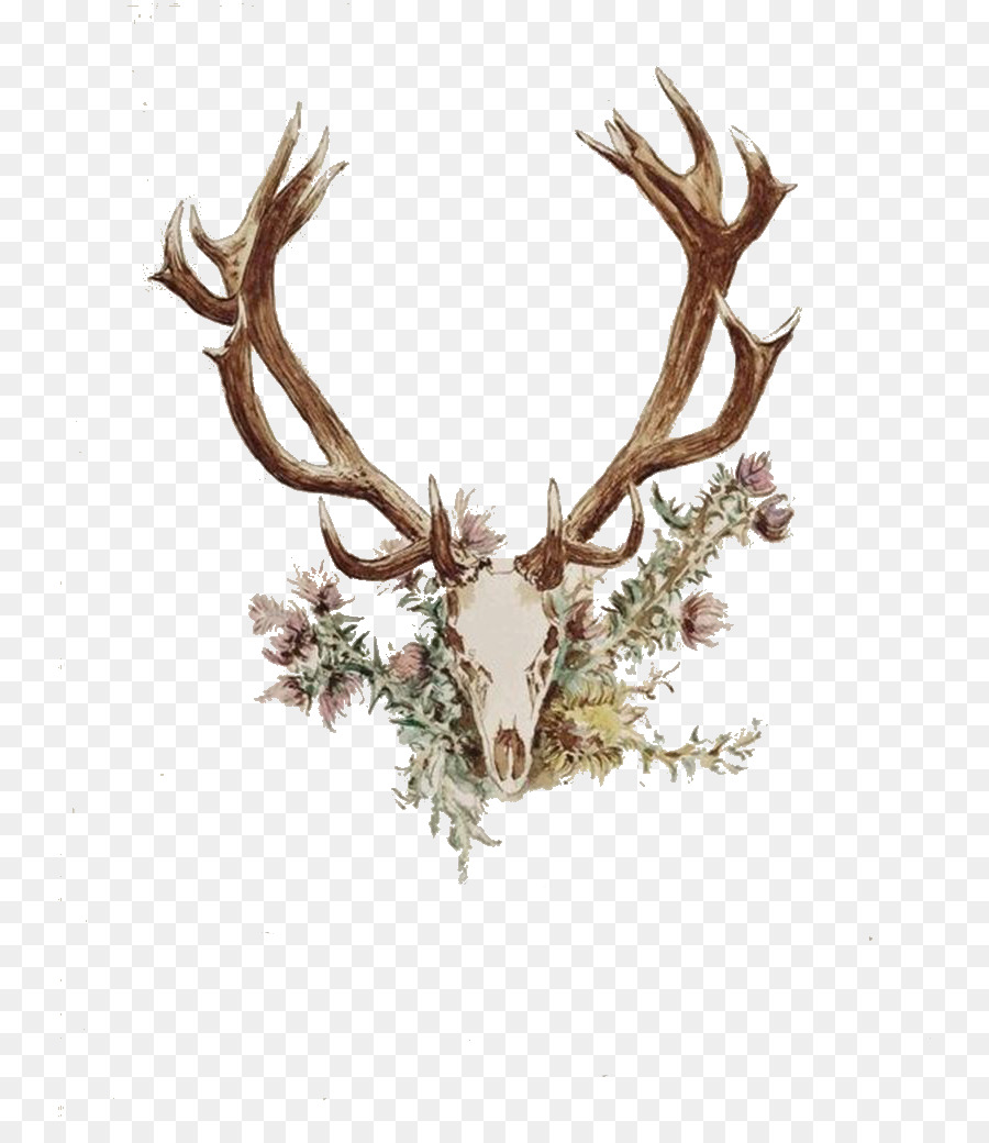 Deer Antler Flower Horn Tattoo - Wooden angle deer png download - 800*1028 - Free Transparent Deer png Download.