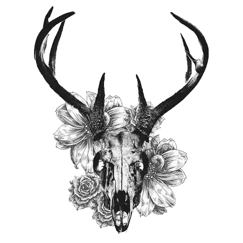 White-tailed deer Tattoo Skull Antler - Creative black and white deer skull  png download - 500*500 - Free Transparent Deer png Download. - Clip Art  Library