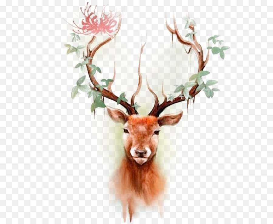 Deer Elk Moose Tattoo Paper - Color reindeer head png download - 705*735 - Free Transparent Deer png Download.