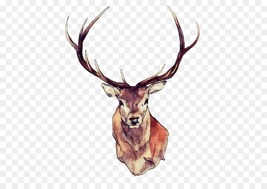 Reindeer Moose Elk Tattoo - watercolor animals png download - 500*634 - Free Transparent Deer png Download.