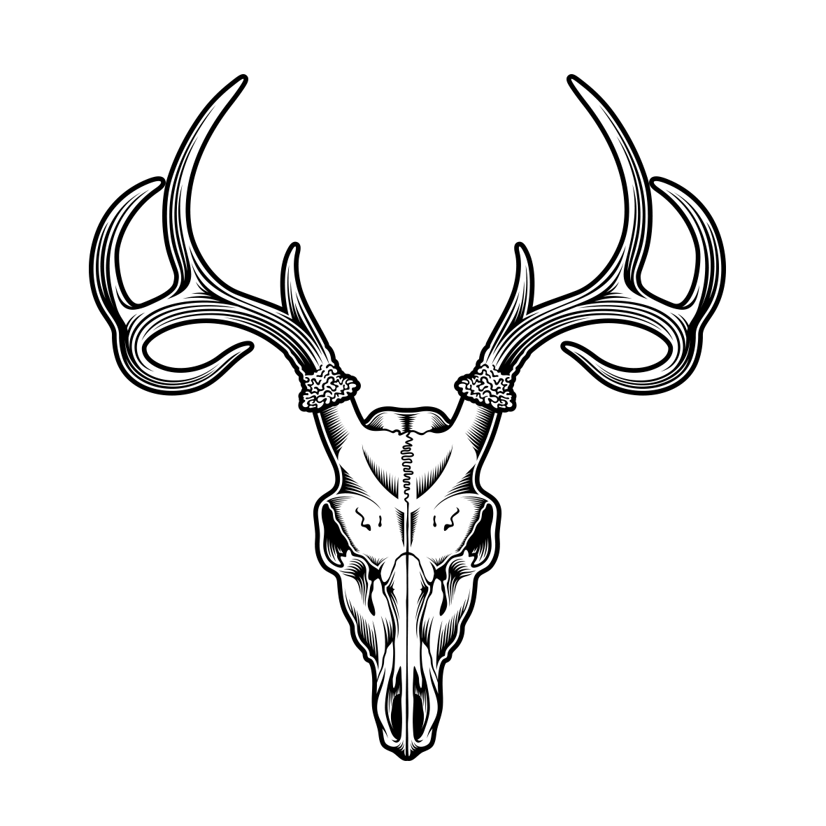 Deer Skull Drawing Illustration Sheep Tattoo Png Download 1181 1181 Free Transparent Deer Png Download Clip Art Library