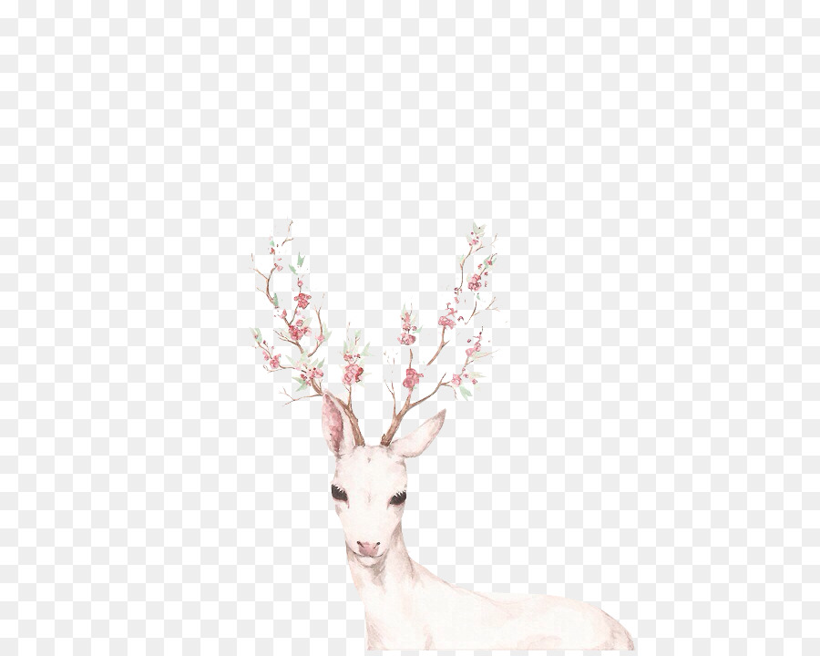 White-tailed deer Drawing Red deer Tattoo - unicorn head png download - 500*718 - Free Transparent Deer png Download.