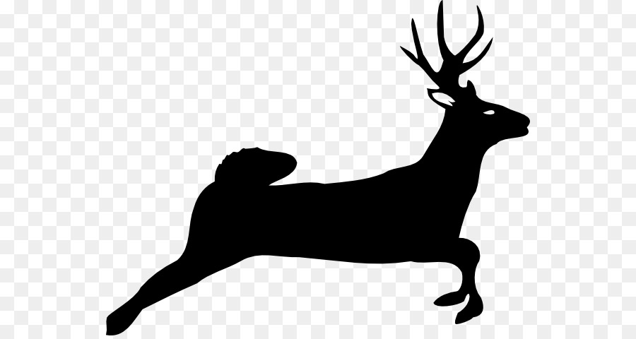 White-tailed deer Reindeer Silhouette Clip art - Free Deer Silhouette png download - 600*475 - Free Transparent Deer png Download.