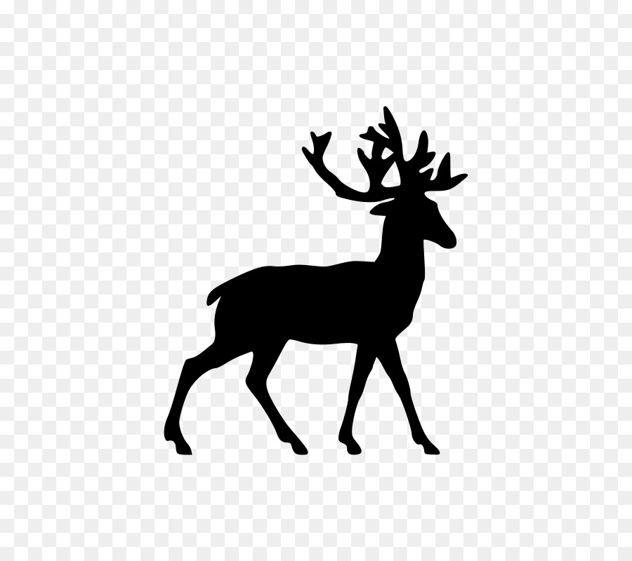 Rudolph Reindeer White-tailed deer Santa Claus - Free Deer Silhouette png download - 800*800 - Free Transparent Rudolph png Download.