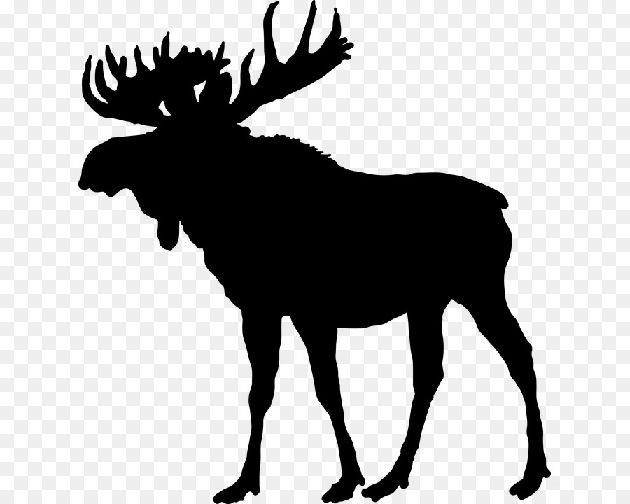 Moose Deer Silhouette - tier png download - 675*720 - Free Transparent Moose png Download.