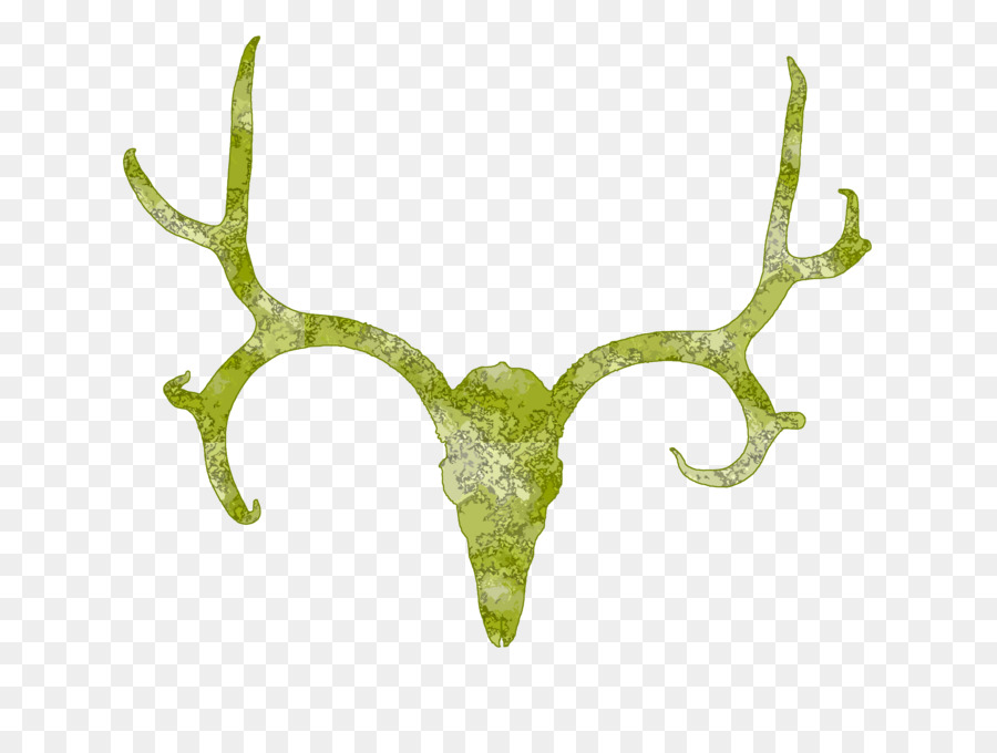 White-tailed deer Antler Skull Clip art - Deer Skull Clipart png download - 2592*1944 - Free Transparent Deer png Download.