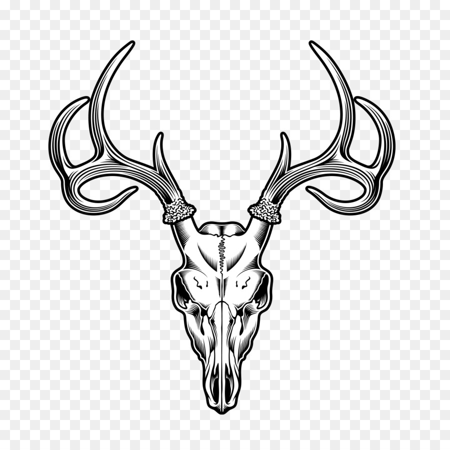Deer Skull Drawing Illustration - Sheep Tattoo png download - 1181*1181 - Free Transparent Deer png Download.