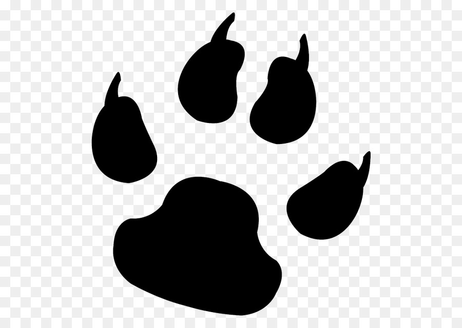 Dog Paw Animal track Cat Footprint - Dog png download - 640*640 - Free Transparent Dog png Download.