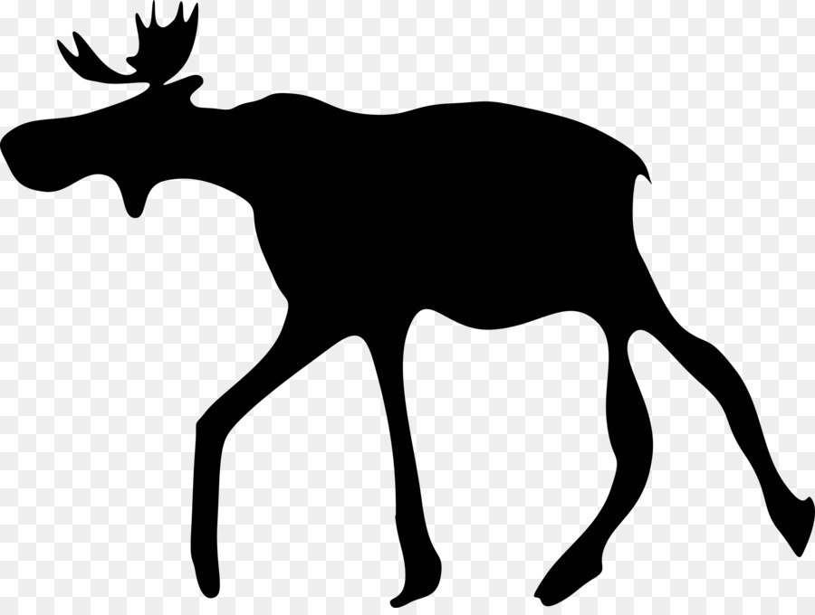 Elk Moose Deer Clip art - MOOSE png download - 2500*1867 - Free Transparent Elk png Download.