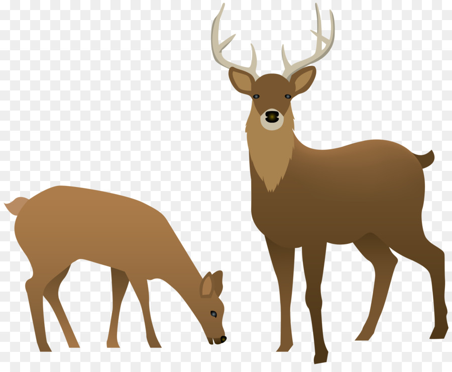 Free Deer Transparent Background, Download Free Deer Transparent Background  png images, Free ClipArts on Clipart Library