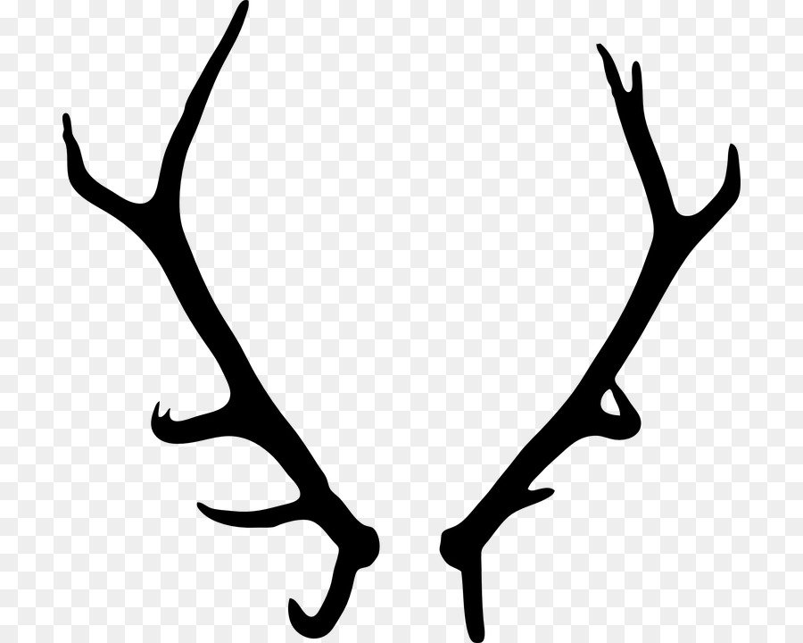 Deer Antler Clip art - deer png download - 760*720 - Free Transparent Deer png Download.
