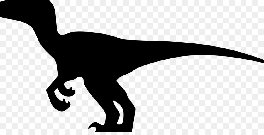 Velociraptor Dinosaur Tyrannosaurus Brachiosaurus Clip art - dinosaur png download - 2280*1139 - Free Transparent Velociraptor png Download.