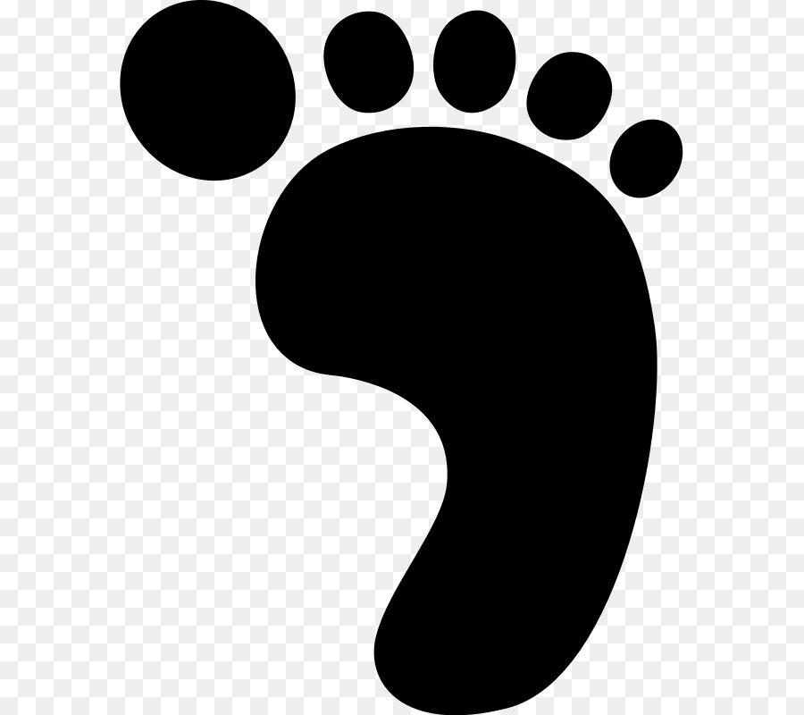 Footprint Clip art - footprint png download - 631*800 - Free Transparent Footprint png Download.