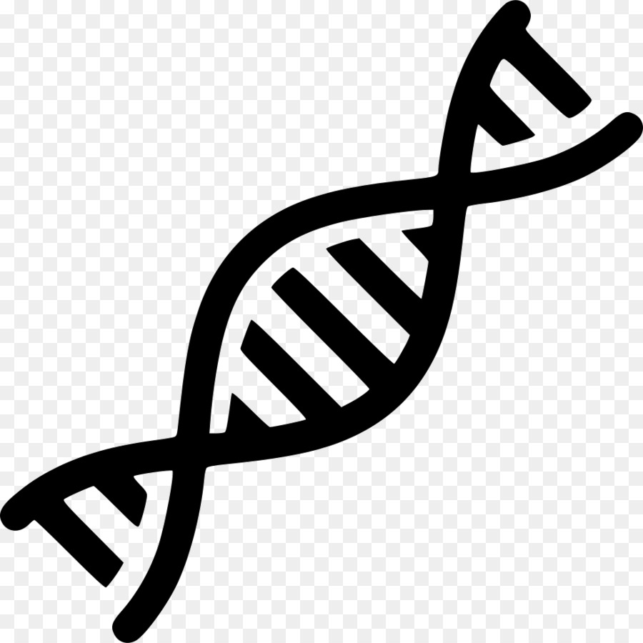 Nucleic acid double helix DNA Computer Icons Gene - vector png download - 980*980 - Free Transparent  png Download.
