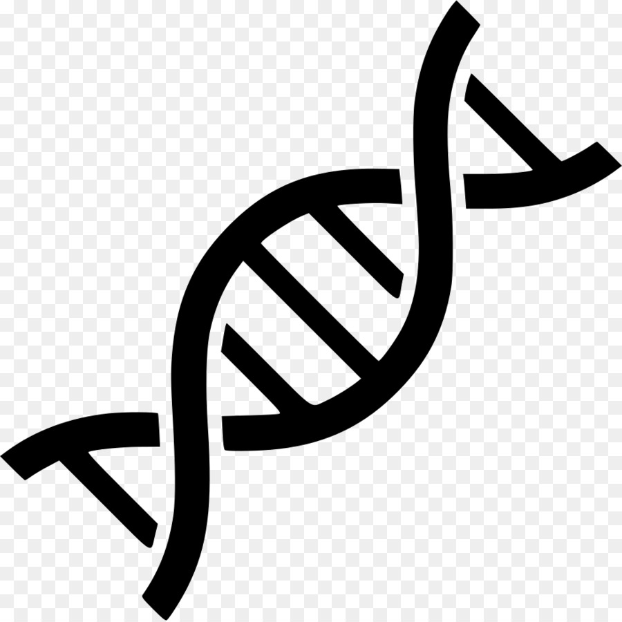 Computer Icons DNA Genetics Nucleic acid double helix - svg png download - 980*978 - Free Transparent Computer Icons png Download.
