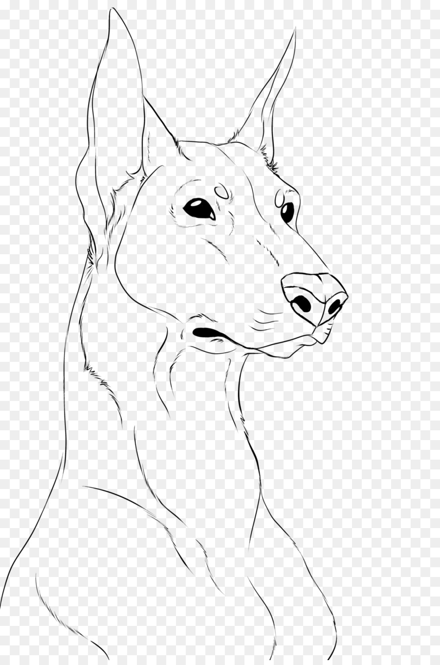 Dobermann German Shepherd Drawing Line art Sketch - taobao / lynx design png download - 1024*1536 - Free Transparent Dobermann png Download.