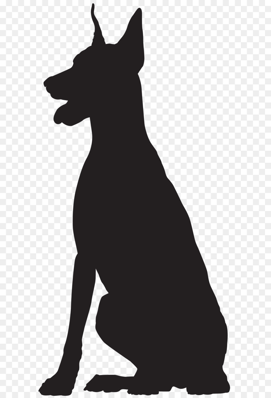 Dog breed Black and white Snout - Doberman Silhouette PNG Clip Art Image png download - 3948*8000 - Free Transparent Dobermann png Download.