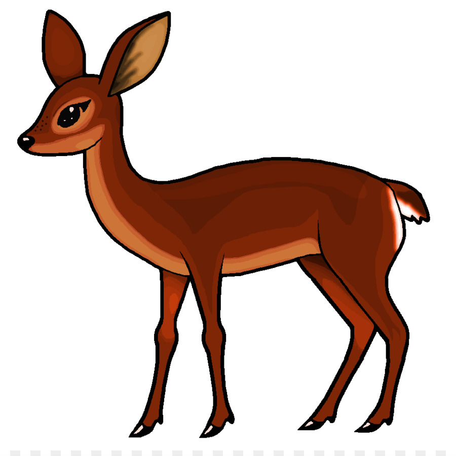 Roe deer White-tailed deer Clip art - Doe Cliparts png download - 950*938 - Free Transparent Deer png Download.