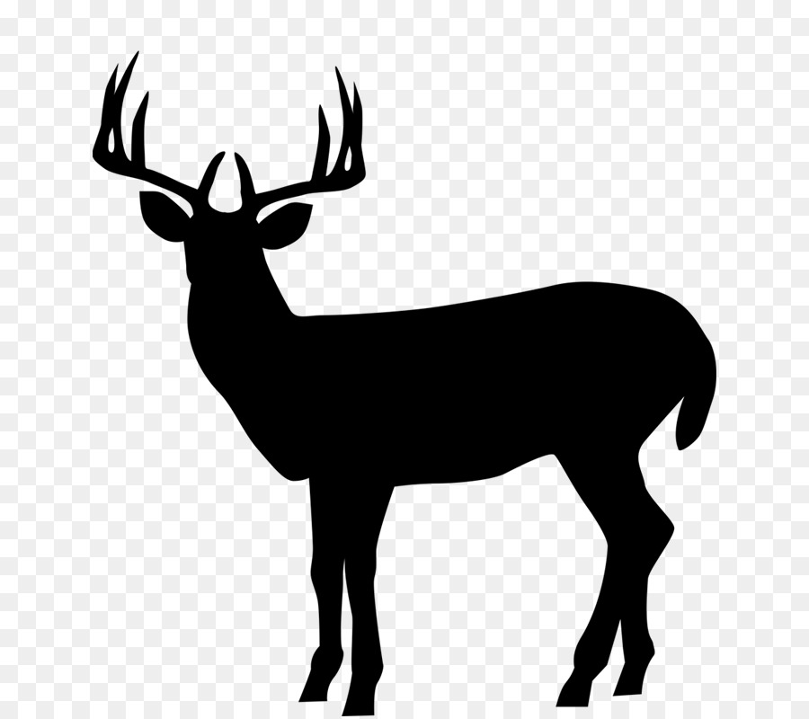 Silhouette Roe deer Clip art Illustration Elk -  png download - 800*800 - Free Transparent Silhouette png Download.