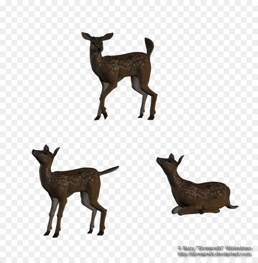 White-tailed deer Silhouette - fawn png download - 885*903 - Free Transparent Deer png Download.