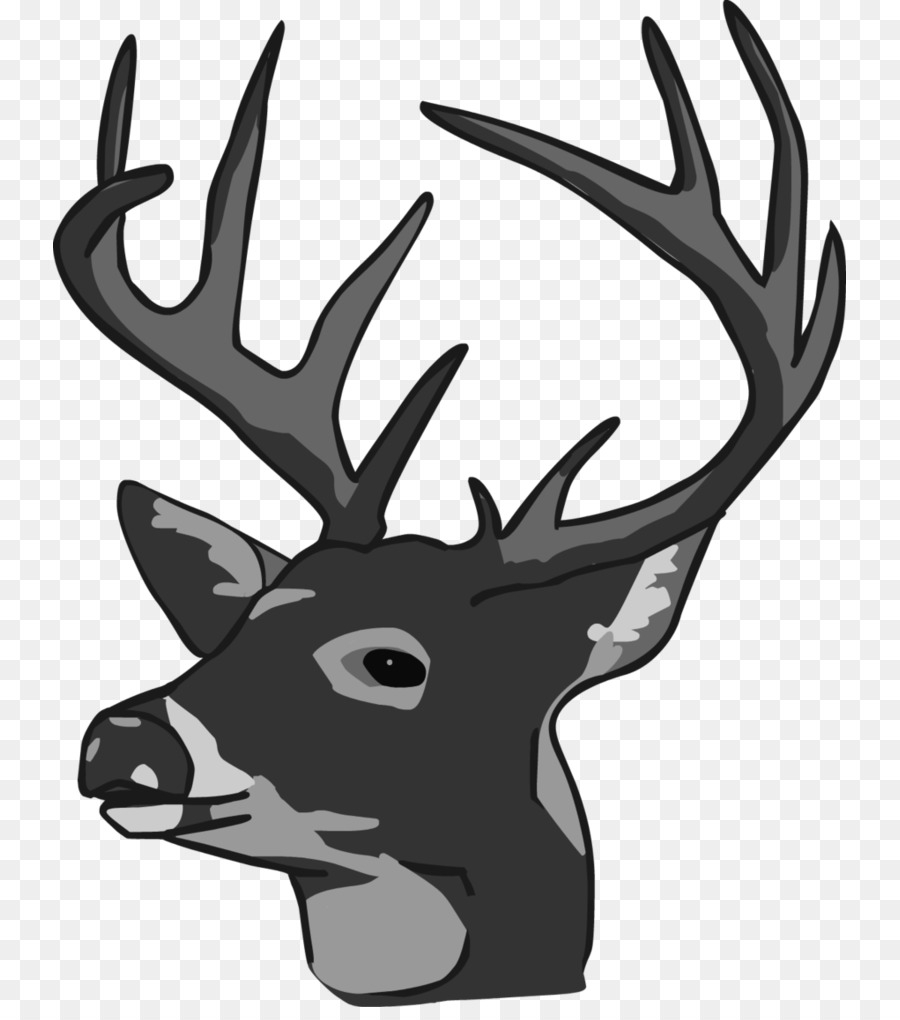 White-tailed deer Reindeer Elk Clip art - Doe Head Cliparts png download - 793*1007 - Free Transparent Deer png Download.