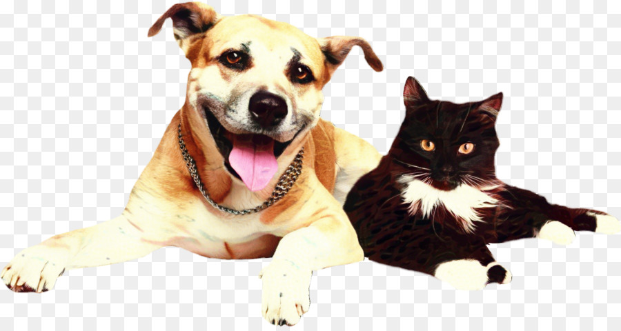 Dog Cat Pet Alphatrak Lower Plenty Veterinary Clinic -  png download - 1400*739 - Free Transparent Dog png Download.