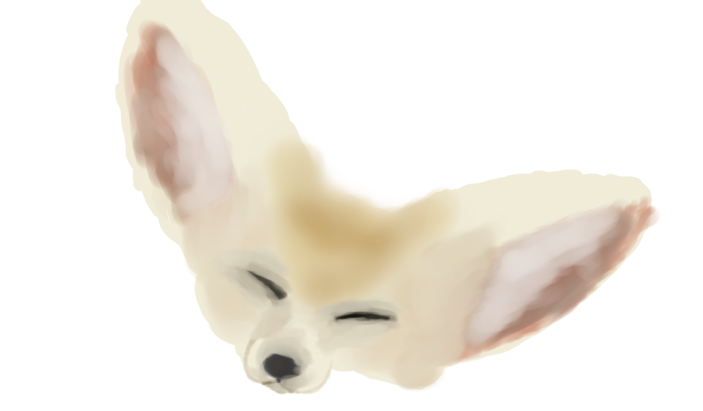 Dog Ear Fur Snout - Fennec Fox png download - 1024*599 - Free