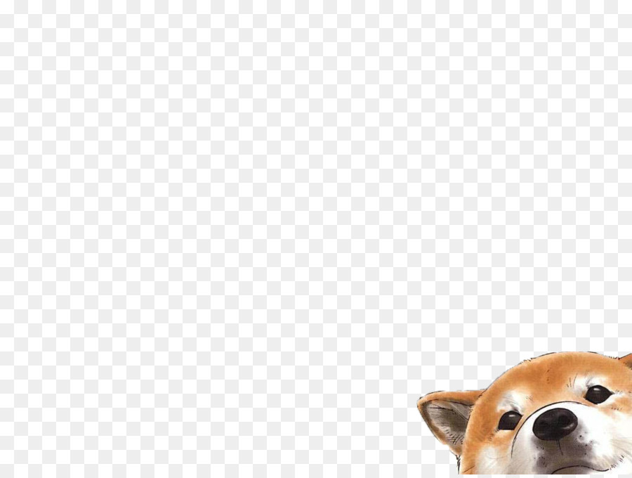 Pembroke Welsh Corgi Puppy Dog breed Companion dog Desktop Wallpaper - puppy png download - 1024*768 - Free Transparent Pembroke Welsh Corgi png Download.