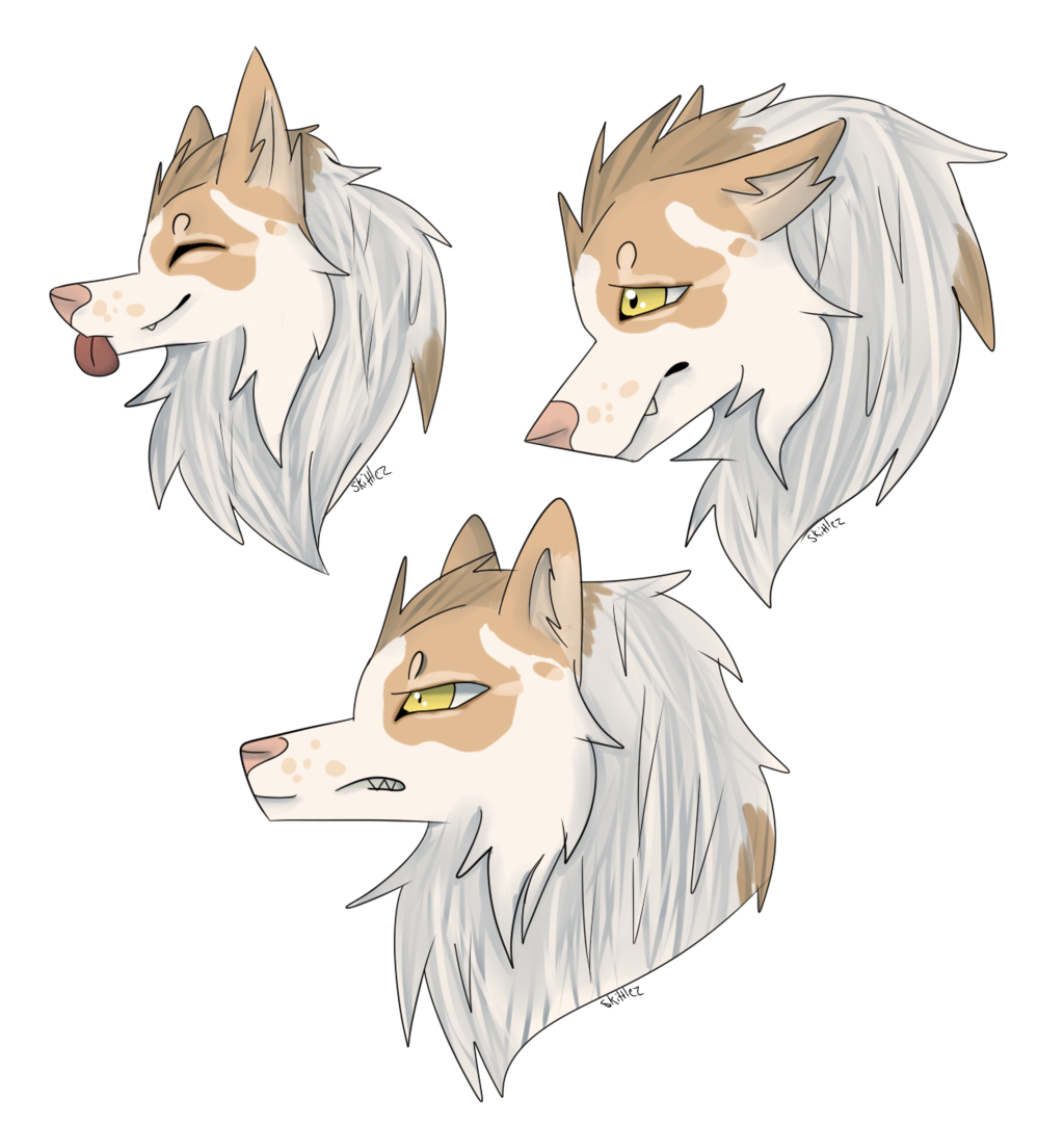 Dog Ear Character Sketch - Dog png download - 1024*1081 - Free