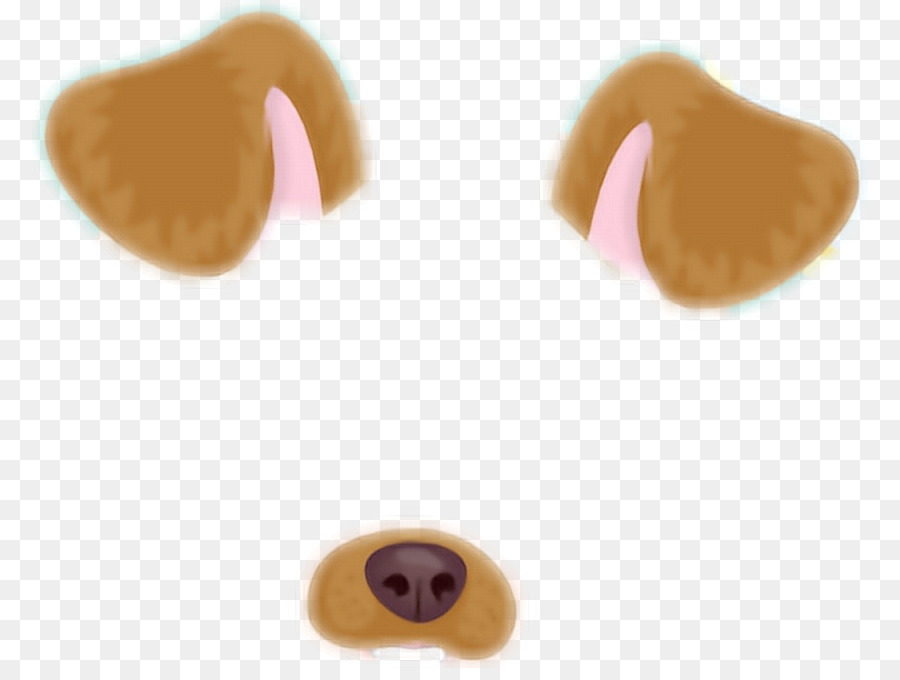 Dog paddle Animal Doge Snapchat - filter snap chat png download - 836*668 - Free Transparent Dog png Download.